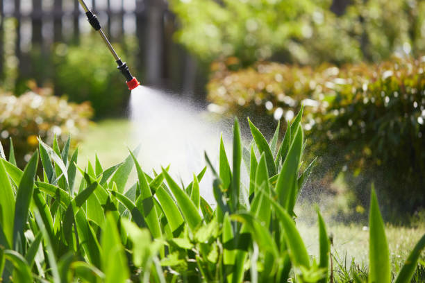 24/7 Emergency Wasp Removal experts in Tamarac, FL