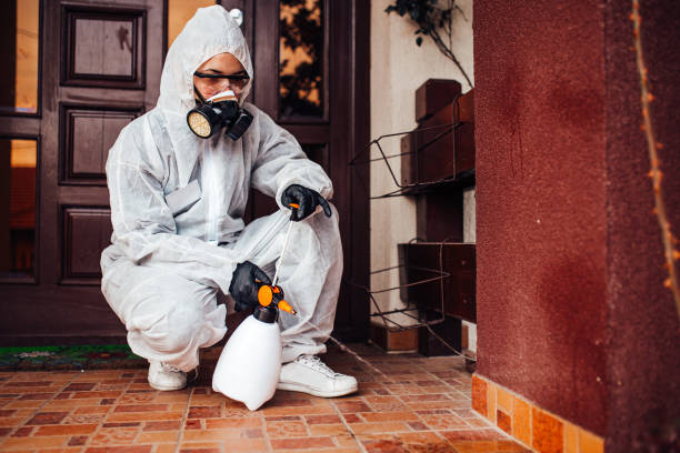 Reliable Wasp Removal contractor in Tamarac, FL by Show Me Pest Control